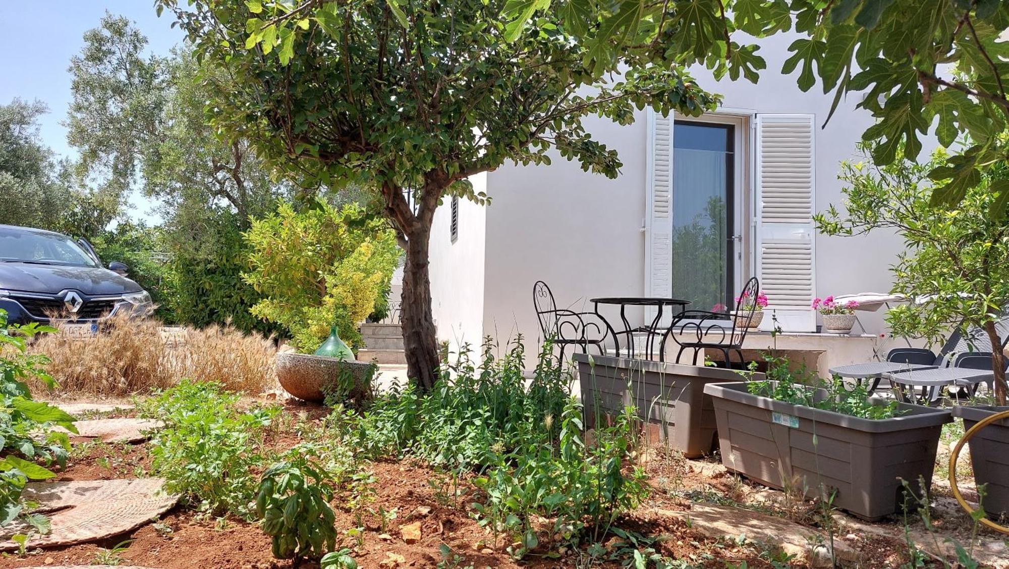 All'Ombra Dell'Ulivo Monopoli Exterior photo